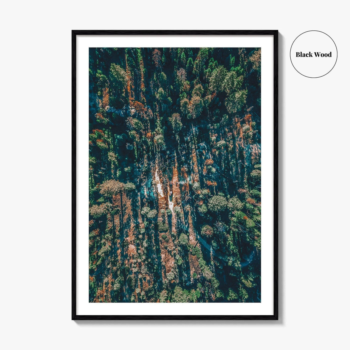 Sequoia National Park Fine Art Photo Print, California Wall Decor Poster, Aerial Forest USA