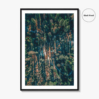 Sequoia National Park Fine Art Photo Print, California Wall Decor Poster, Aerial Forest USA