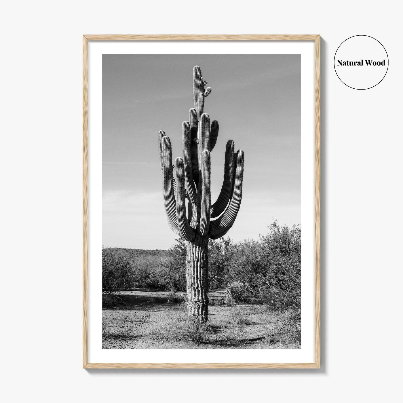 Mesa Arizona Black and White Fine Art Photo Print, Salt River, Phoenix, Saguaro Poster