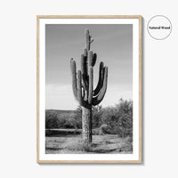 Mesa Arizona Black and White Fine Art Photo Print, Salt River, Phoenix, Saguaro Poster