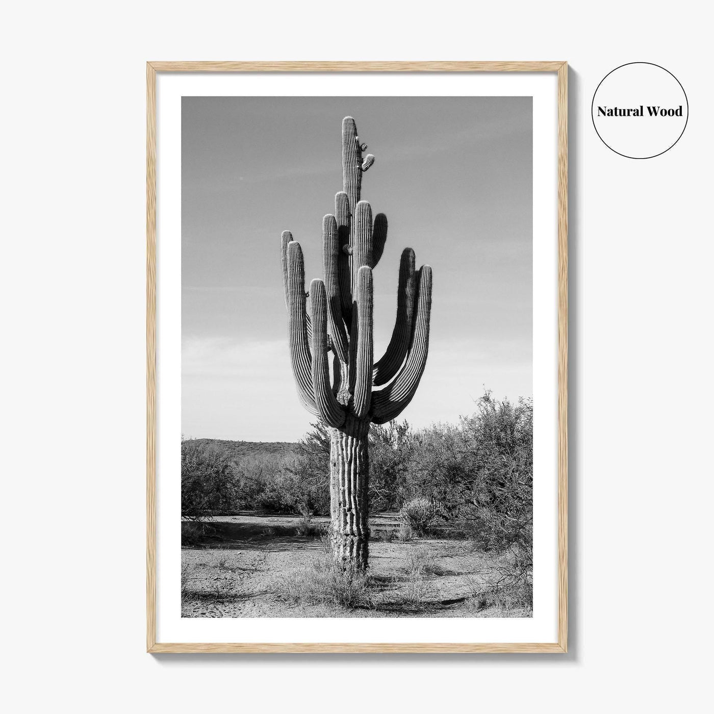 Mesa Arizona Black and White Fine Art Photo Print, Salt River, Phoenix, Saguaro Poster