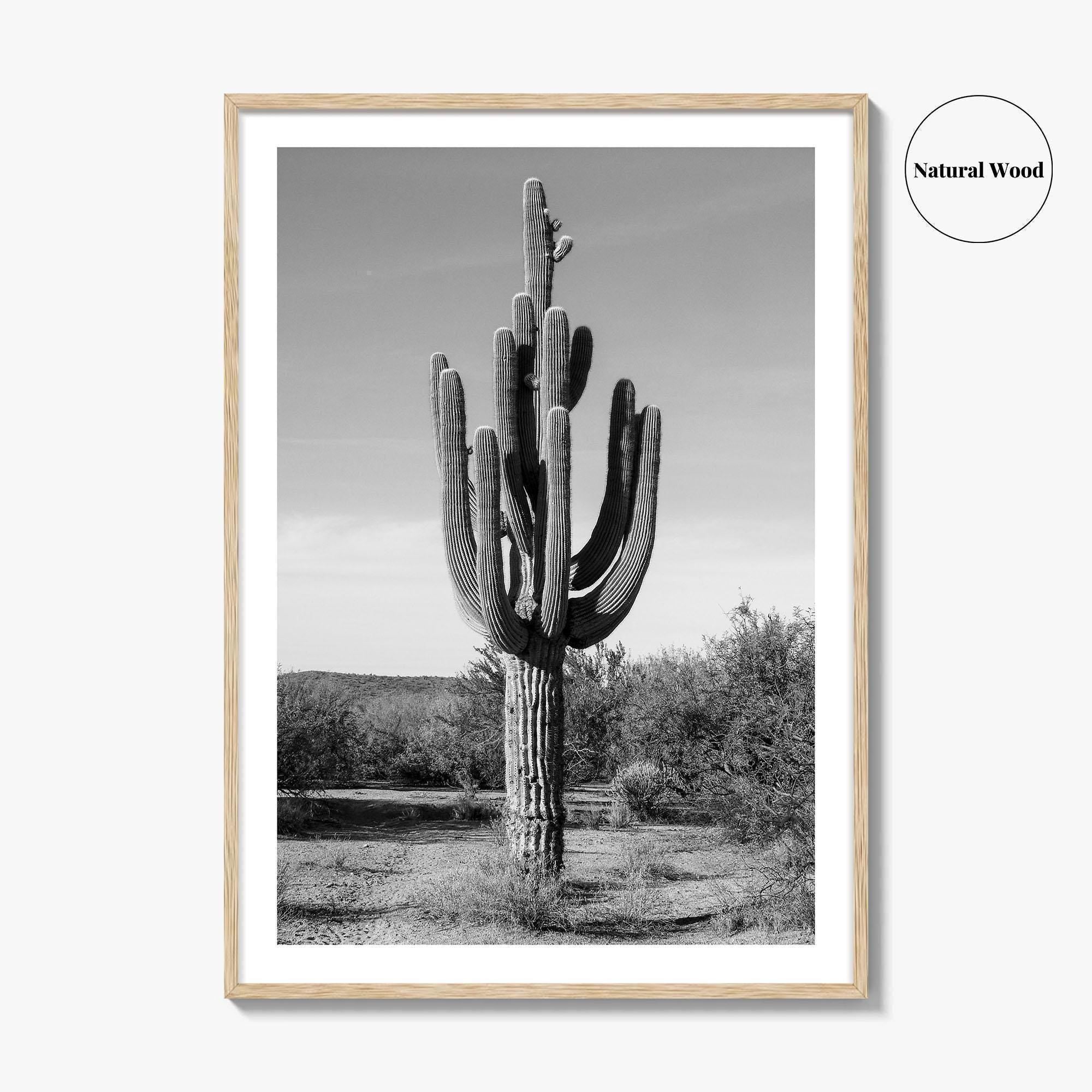 Mesa Arizona Black and White Fine Art Photo Print, Salt River, Phoenix, Saguaro Poster
