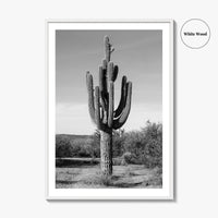 Mesa Arizona Black and White Fine Art Photo Print, Salt River, Phoenix, Saguaro Poster
