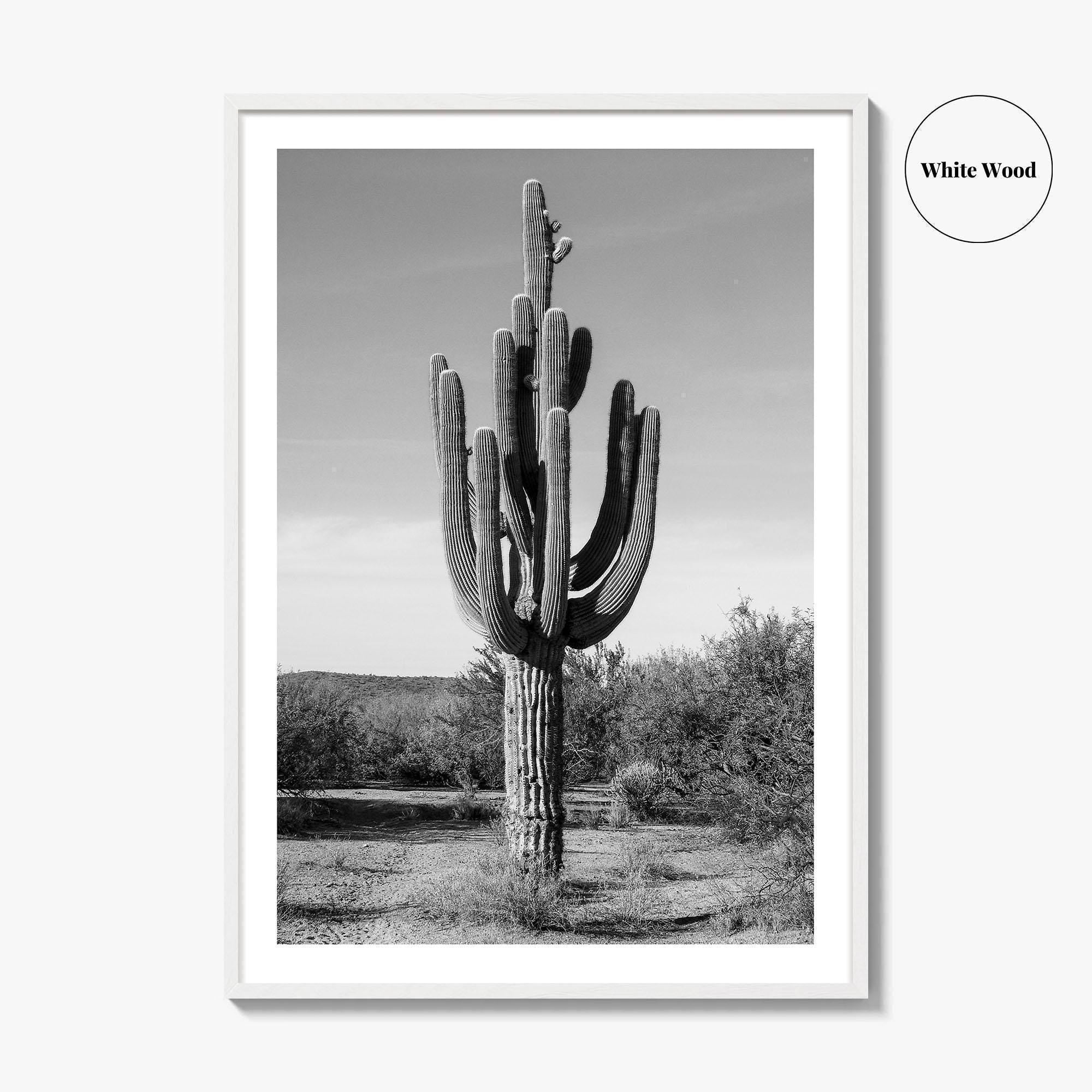 Mesa Arizona Black and White Fine Art Photo Print, Salt River, Phoenix, Saguaro Poster