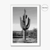 Mesa Arizona Black and White Fine Art Photo Print, Salt River, Phoenix, Saguaro Poster