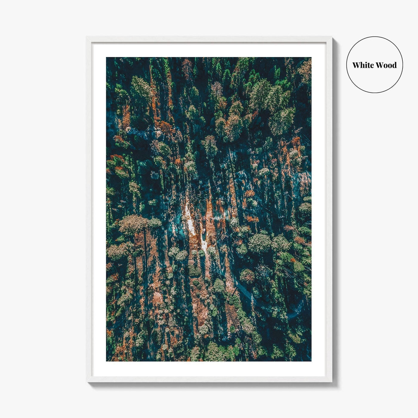 Sequoia National Park Fine Art Photo Print, California Wall Decor Poster, Aerial Forest USA