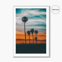 Venice Beach Fine Art Photo Print, Los Angeles, California, USA Poster, Palm Trees