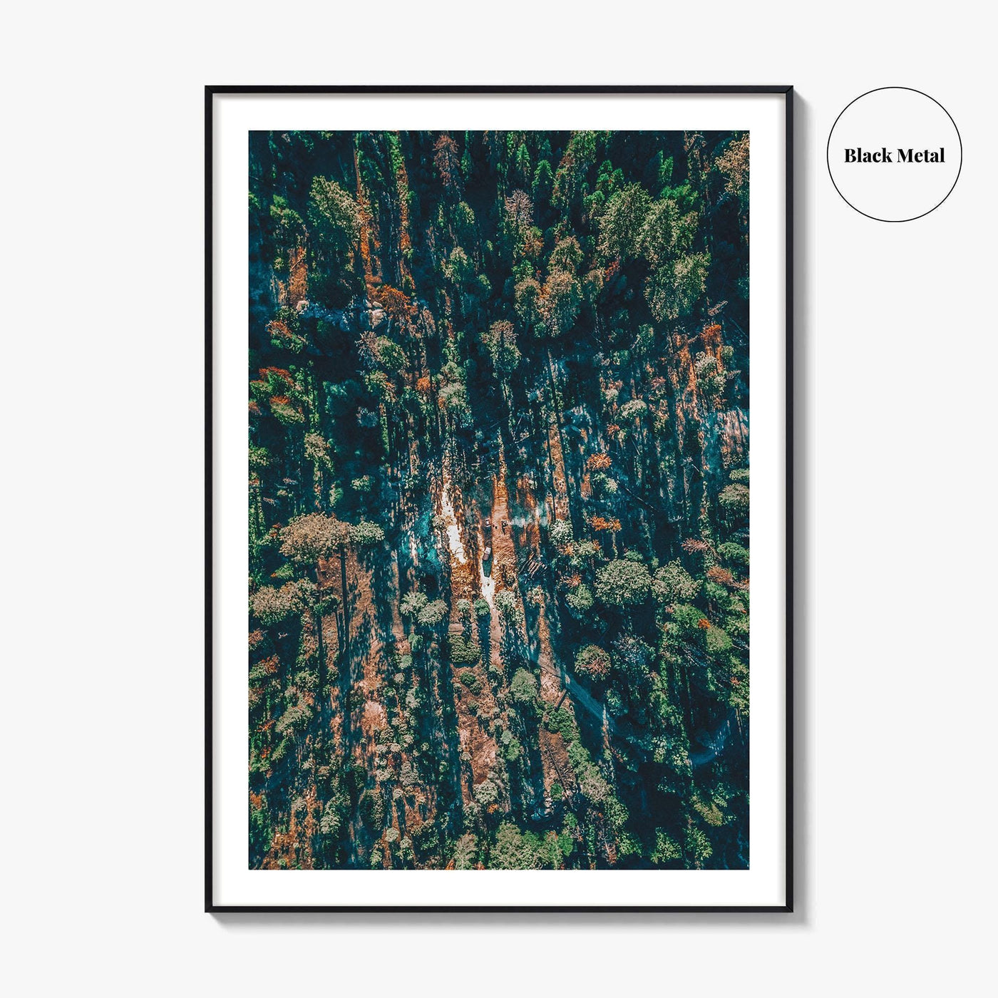 Sequoia National Park Fine Art Photo Print, California Wall Decor Poster, Aerial Forest USA