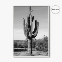 Mesa Arizona Black and White Fine Art Photo Print, Salt River, Phoenix, Saguaro Poster