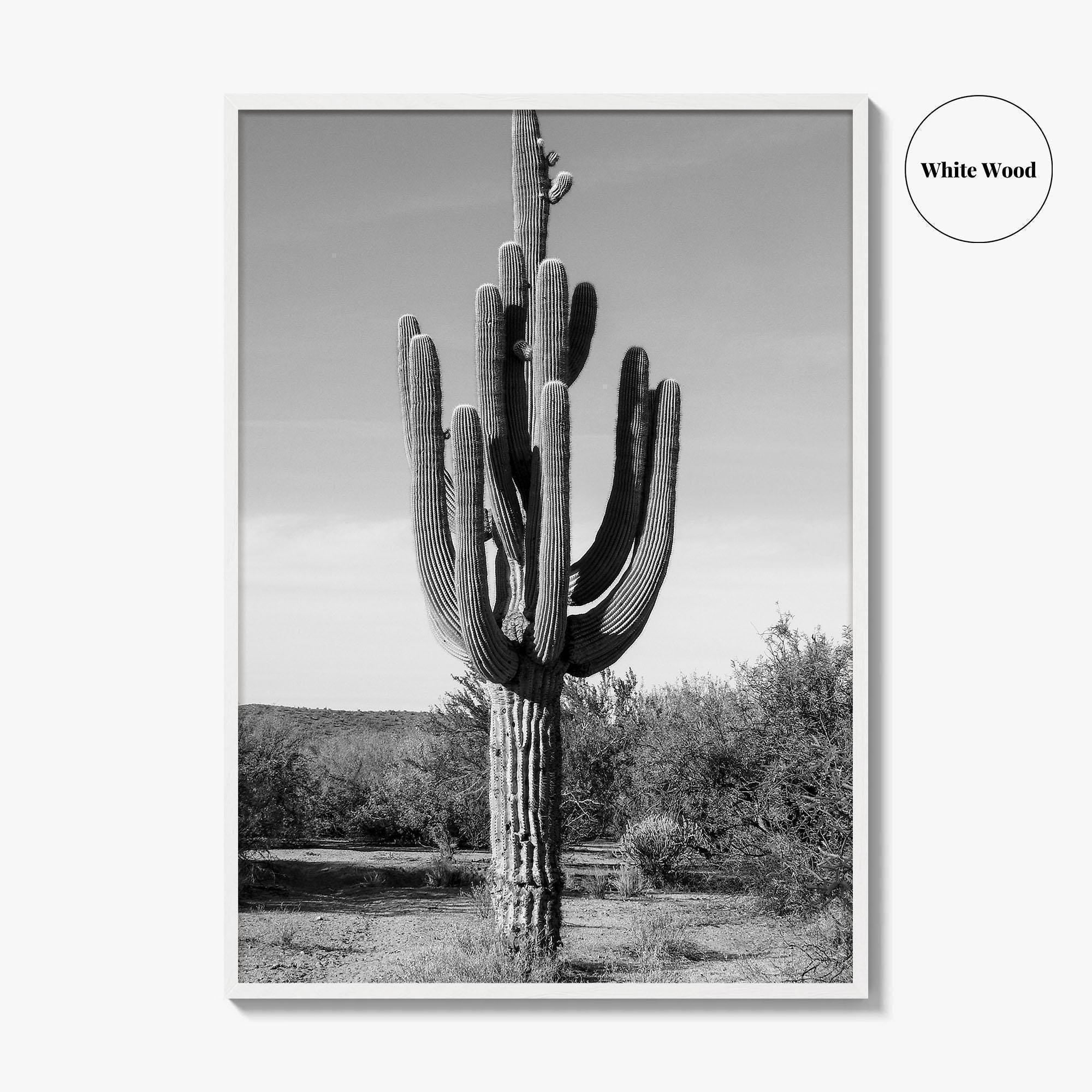 Mesa Arizona Black and White Fine Art Photo Print, Salt River, Phoenix, Saguaro Poster