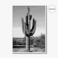 Mesa Arizona Black and White Fine Art Photo Print, Salt River, Phoenix, Saguaro Poster