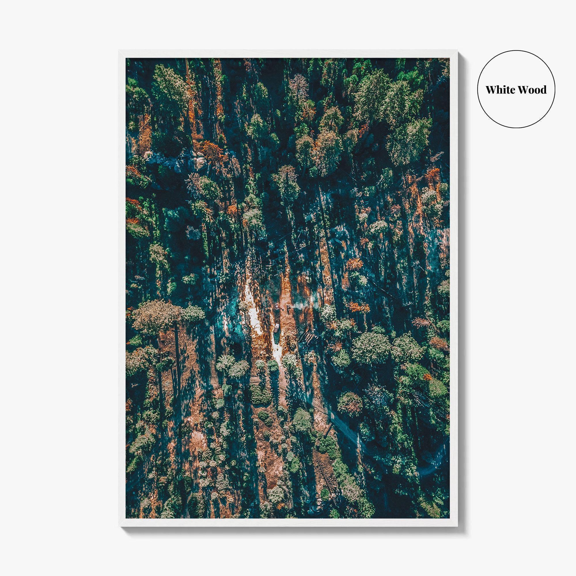 Sequoia National Park Fine Art Photo Print, California Wall Decor Poster, Aerial Forest USA