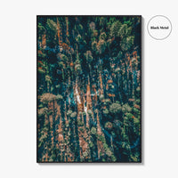 Sequoia National Park Fine Art Photo Print, California Wall Decor Poster, Aerial Forest USA