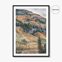 Vail Fine Art Photo Print, Colorado USA, Rocky Mountains, Aspen Trees, Fall Foliage Poster
