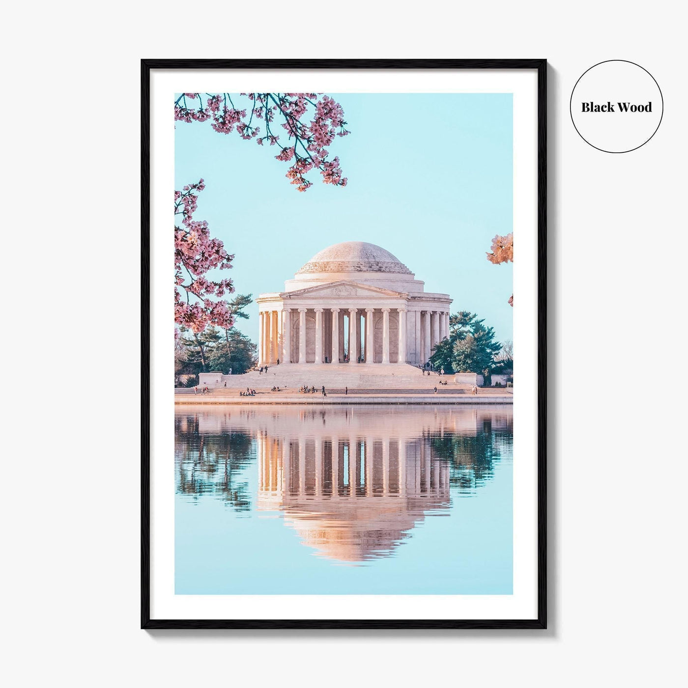 Washington DC Fine Art Photo Print, Jefferson Memorial, Tidal Basin, Cherry Blossoms, Poster