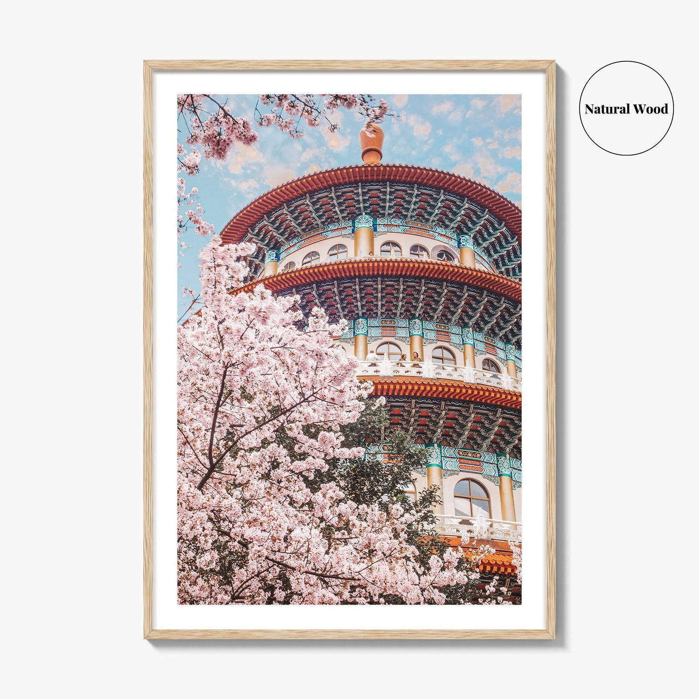 Taipei Fine Art Photo Print, Sakura Garden, Cherry Blossom, Taiwan, Wall Decor Poster