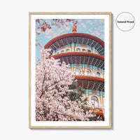 Taipei Fine Art Photo Print, Sakura Garden, Cherry Blossom, Taiwan, Wall Decor Poster