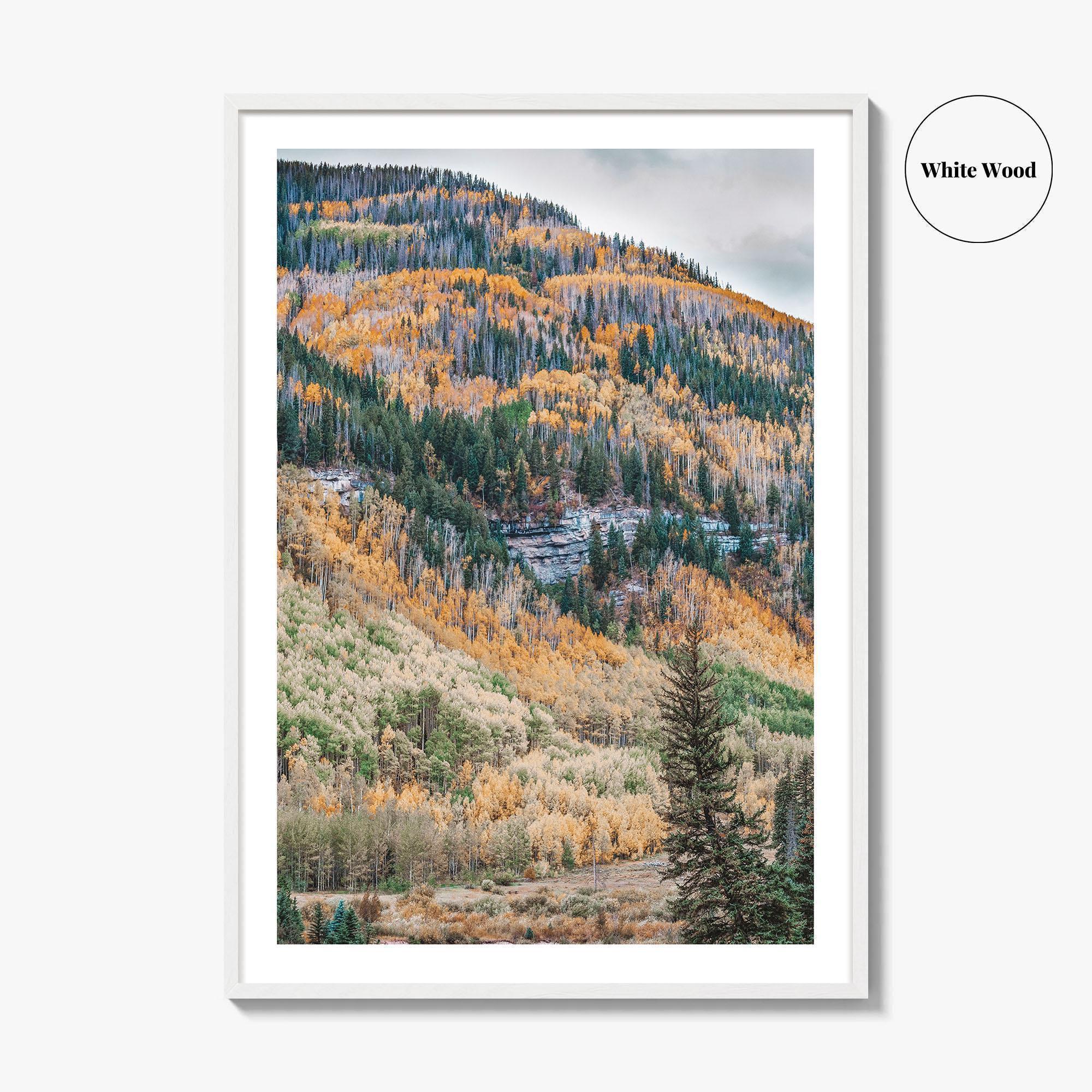 Vail Fine Art Photo Print, Colorado USA, Rocky Mountains, Aspen Trees, Fall Foliage Poster