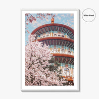Taipei Fine Art Photo Print, Sakura Garden, Cherry Blossom, Taiwan, Wall Decor Poster
