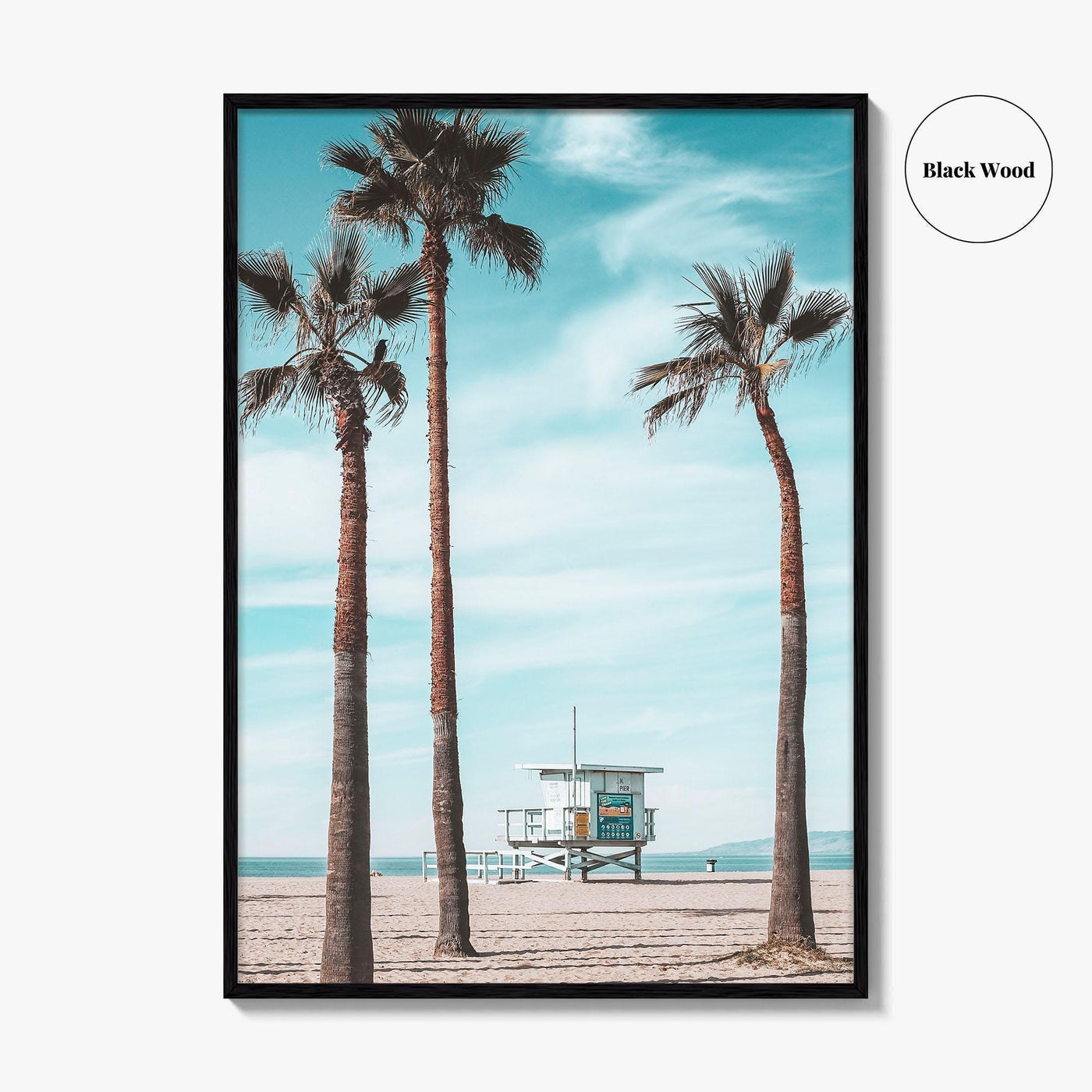Santa Monica Fine Art Photo Print, Venice Beach, Los Angeles, California Wall Decor Poster
