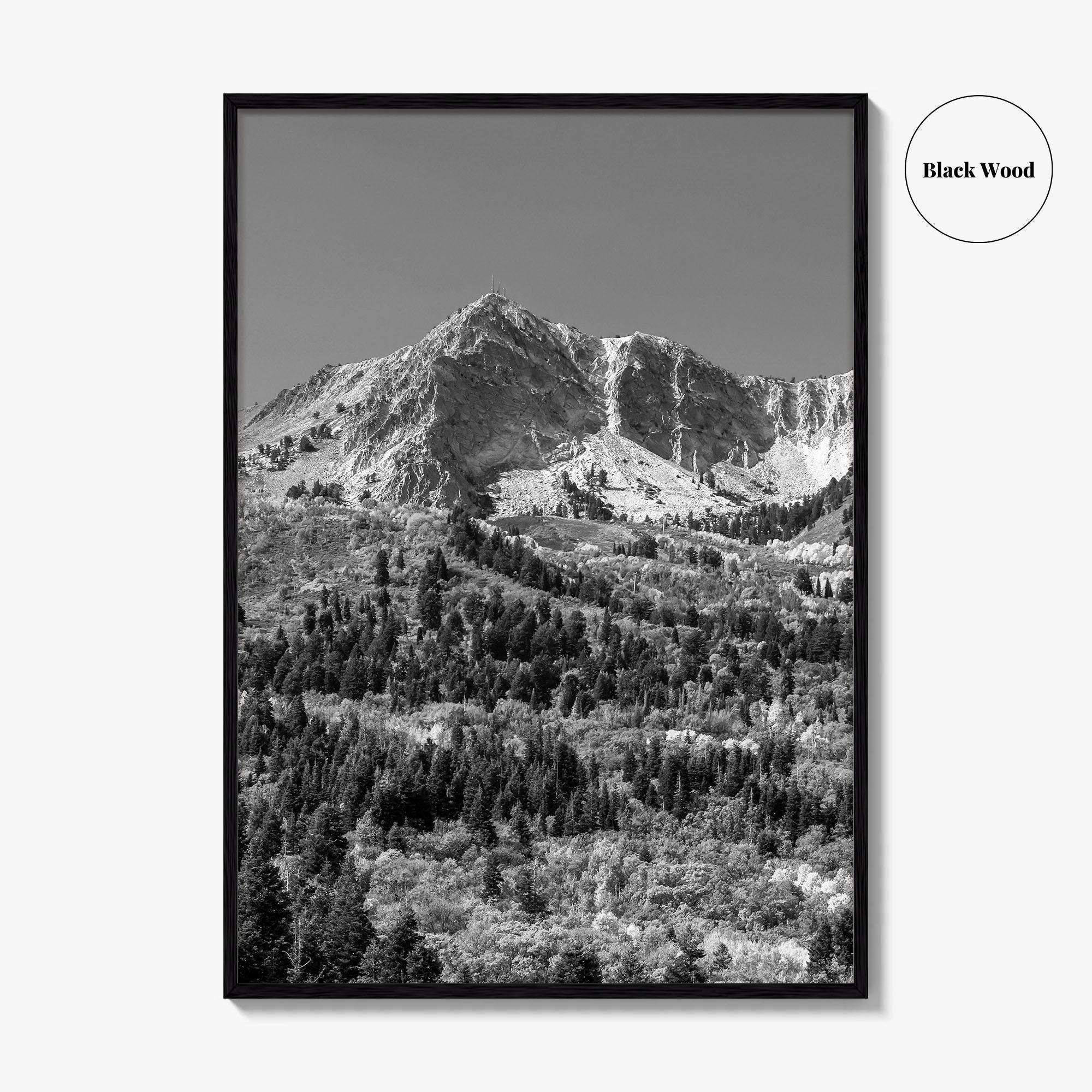 Utah Black and White Fine Art Photo Print, Snowbasin Panorama, Wasatch Range, Ogden Poster