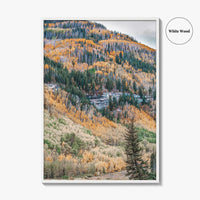 Vail Fine Art Photo Print, Colorado USA, Rocky Mountains, Aspen Trees, Fall Foliage Poster