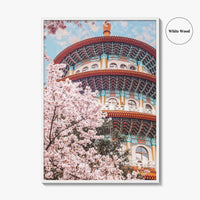 Taipei Fine Art Photo Print, Sakura Garden, Cherry Blossom, Taiwan, Wall Decor Poster