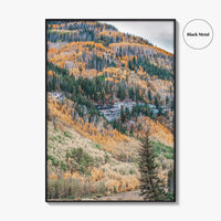 Vail Fine Art Photo Print, Colorado USA, Rocky Mountains, Aspen Trees, Fall Foliage Poster