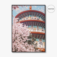 Taipei Fine Art Photo Print, Sakura Garden, Cherry Blossom, Taiwan, Wall Decor Poster