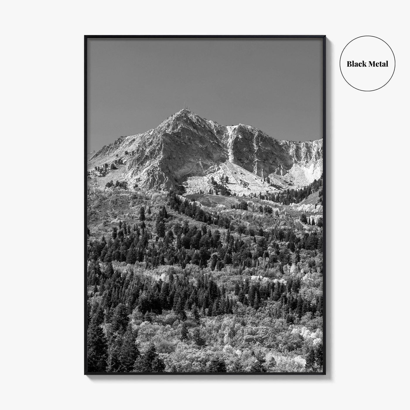 Utah Black and White Fine Art Photo Print, Snowbasin Panorama, Wasatch Range, Ogden Poster