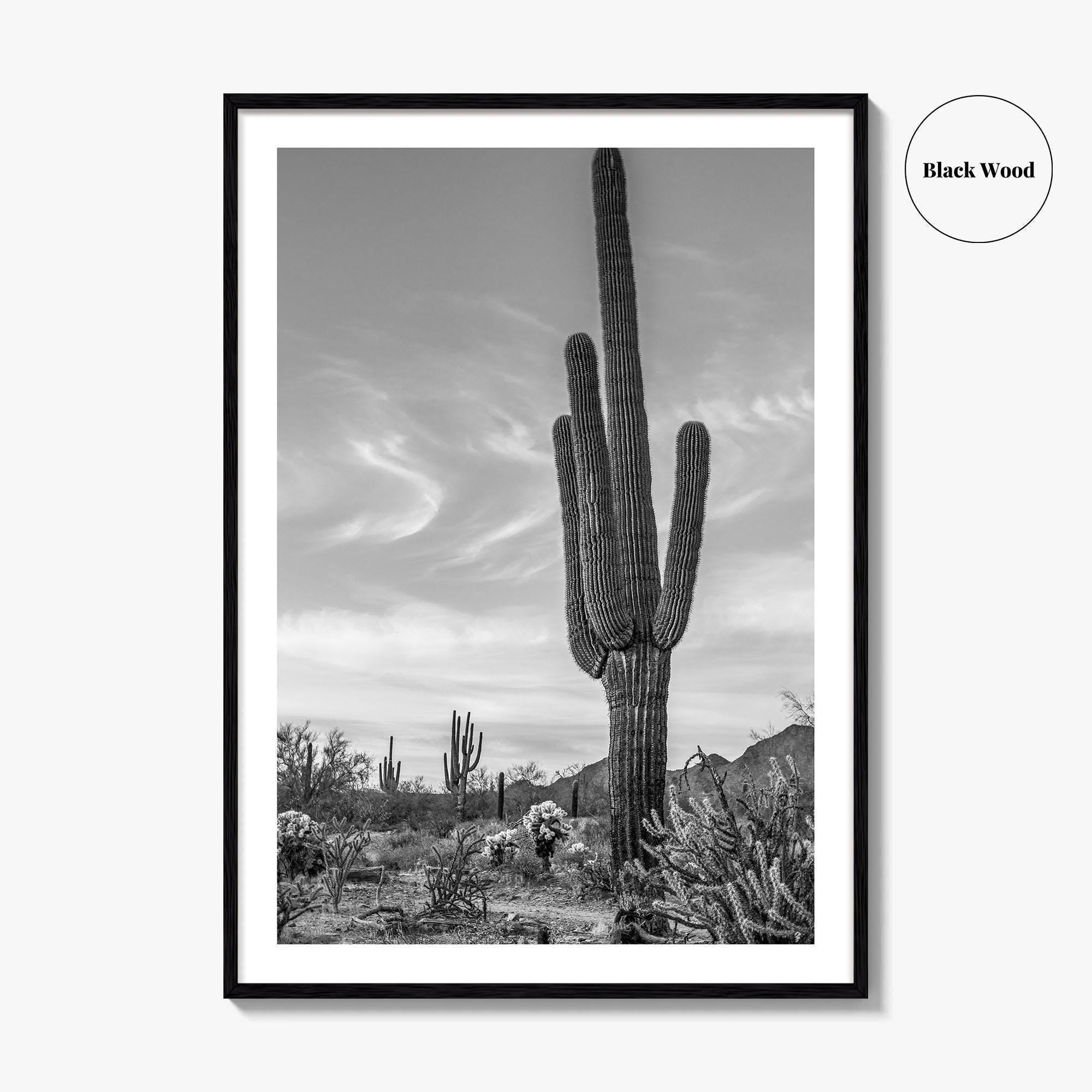 Arizona Black and White Fine Art Photo Print, Sonoran Desert Saguaro Cactus Tucson Poster