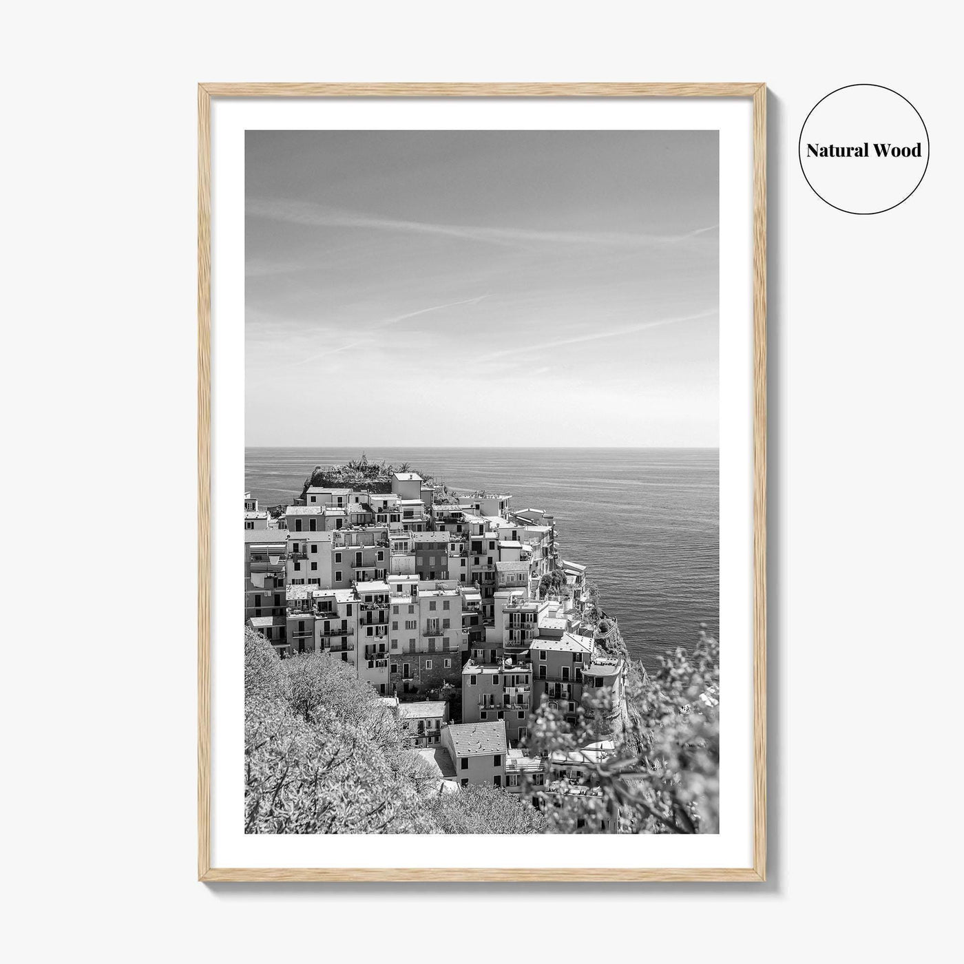 Cinque Terre Black and White Fine Art Photo Print, Manarola, Liguria Italy, Wall Poster