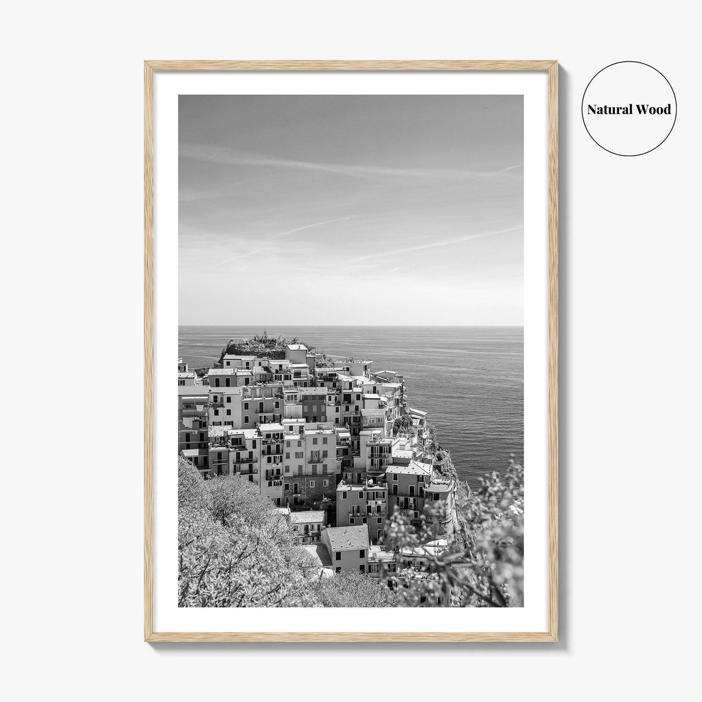 Cinque Terre Black and White Fine Art Photo Print, Manarola, Liguria Italy, Wall Poster