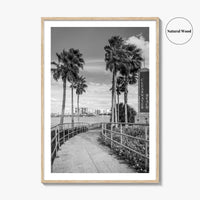 Clearwater Beach Black and White Fine Art Photo Print, Florida Palm Trees, USA Poster