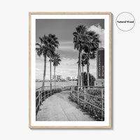 Clearwater Beach Black and White Fine Art Photo Print, Florida Palm Trees, USA Poster