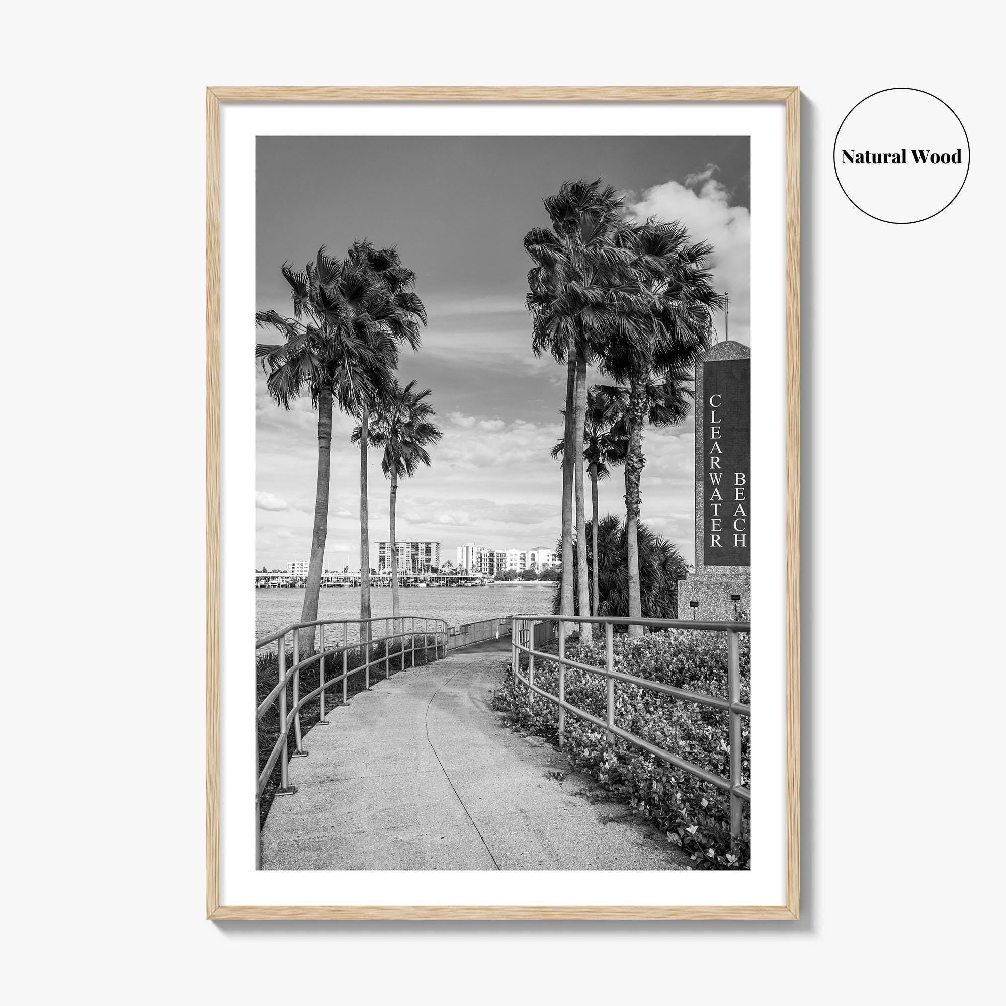 Clearwater Beach Black and White Fine Art Photo Print, Florida Palm Trees, USA Poster