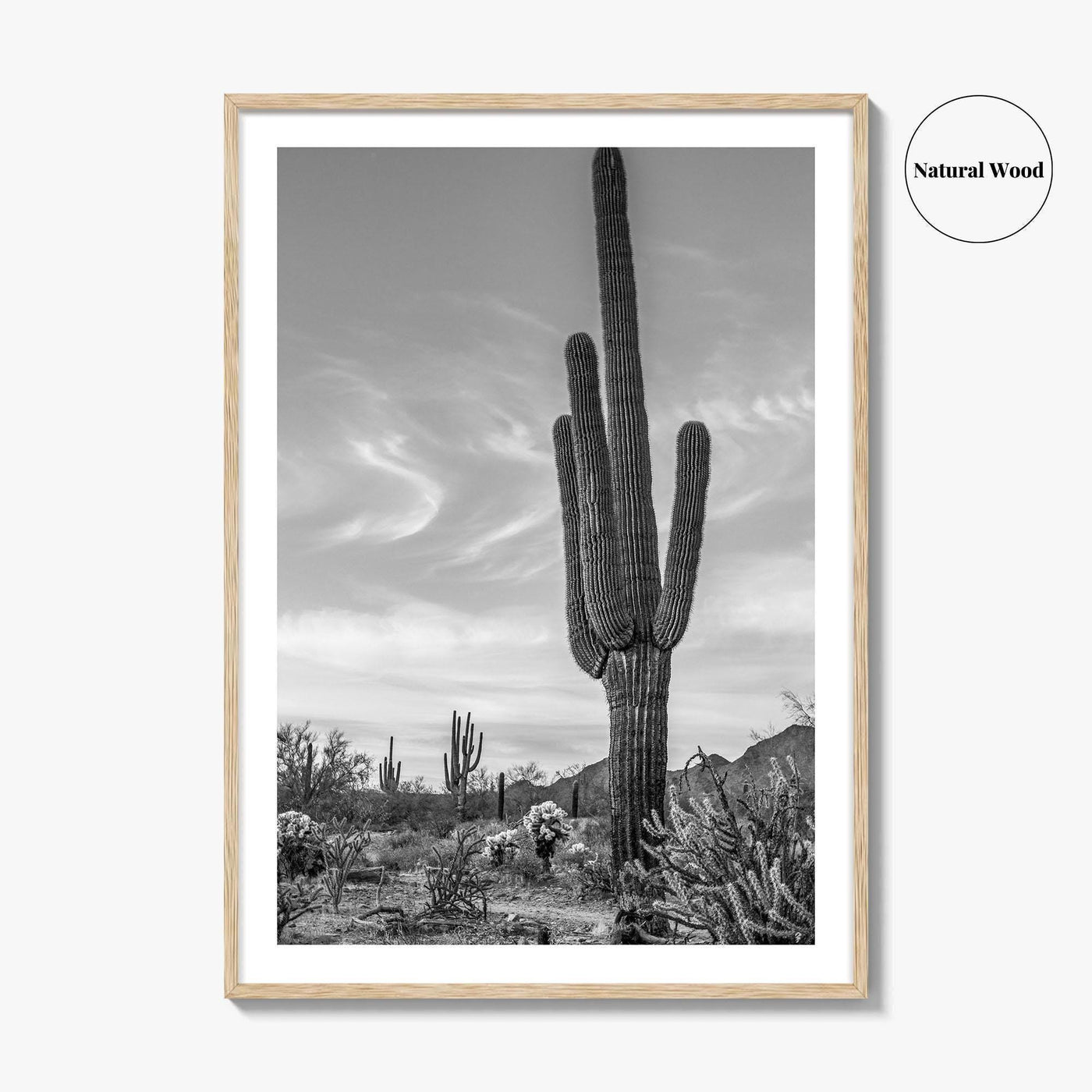 Arizona Black and White Fine Art Photo Print, Sonoran Desert Saguaro Cactus Tucson Poster