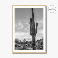 Arizona Black and White Fine Art Photo Print, Sonoran Desert Saguaro Cactus Tucson Poster