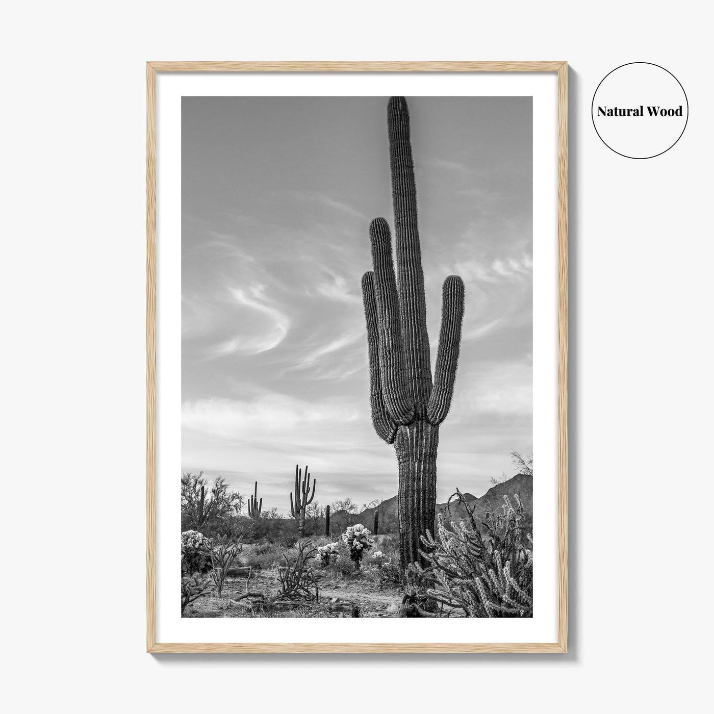 Arizona Black and White Fine Art Photo Print, Sonoran Desert Saguaro Cactus Tucson Poster