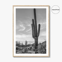 Arizona Black and White Fine Art Photo Print, Sonoran Desert Saguaro Cactus Tucson Poster