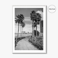 Clearwater Beach Black and White Fine Art Photo Print, Florida Palm Trees, USA Poster