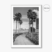 Clearwater Beach Black and White Fine Art Photo Print, Florida Palm Trees, USA Poster