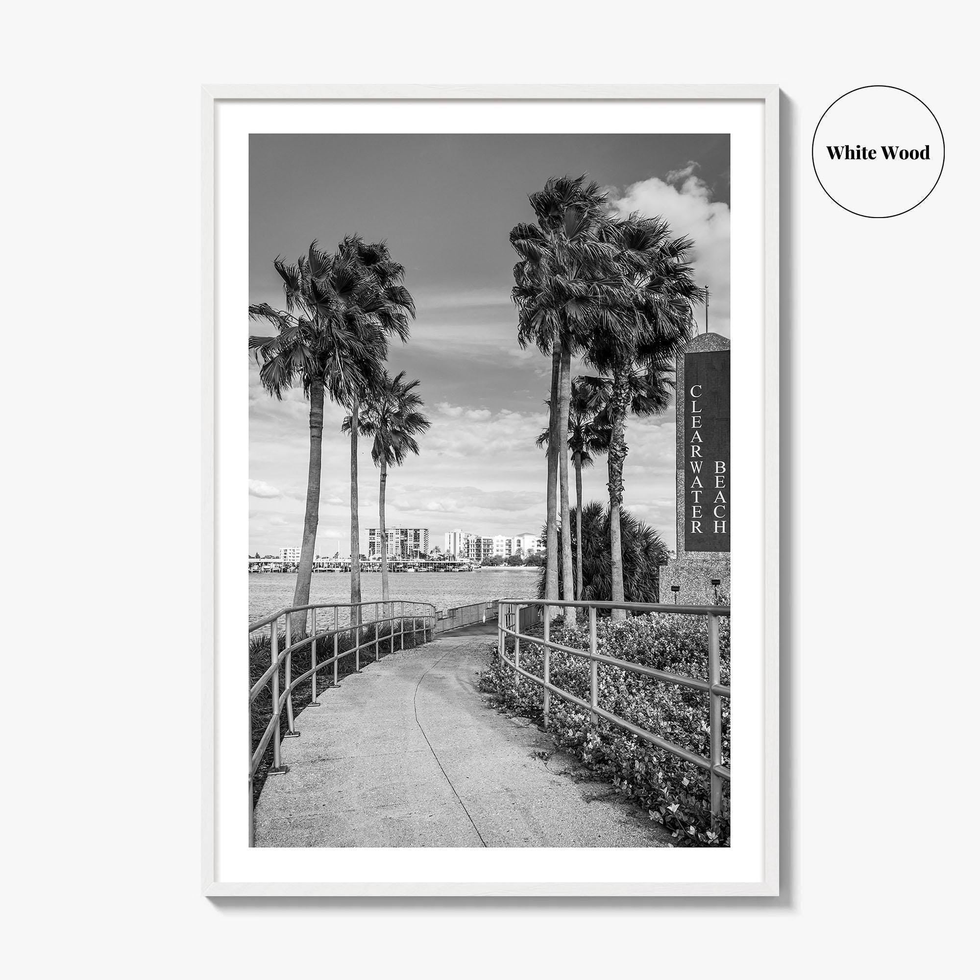 Clearwater Beach Black and White Fine Art Photo Print, Florida Palm Trees, USA Poster