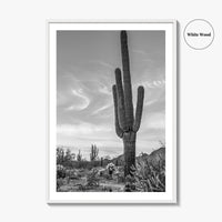 Arizona Black and White Fine Art Photo Print, Sonoran Desert Saguaro Cactus Tucson Poster