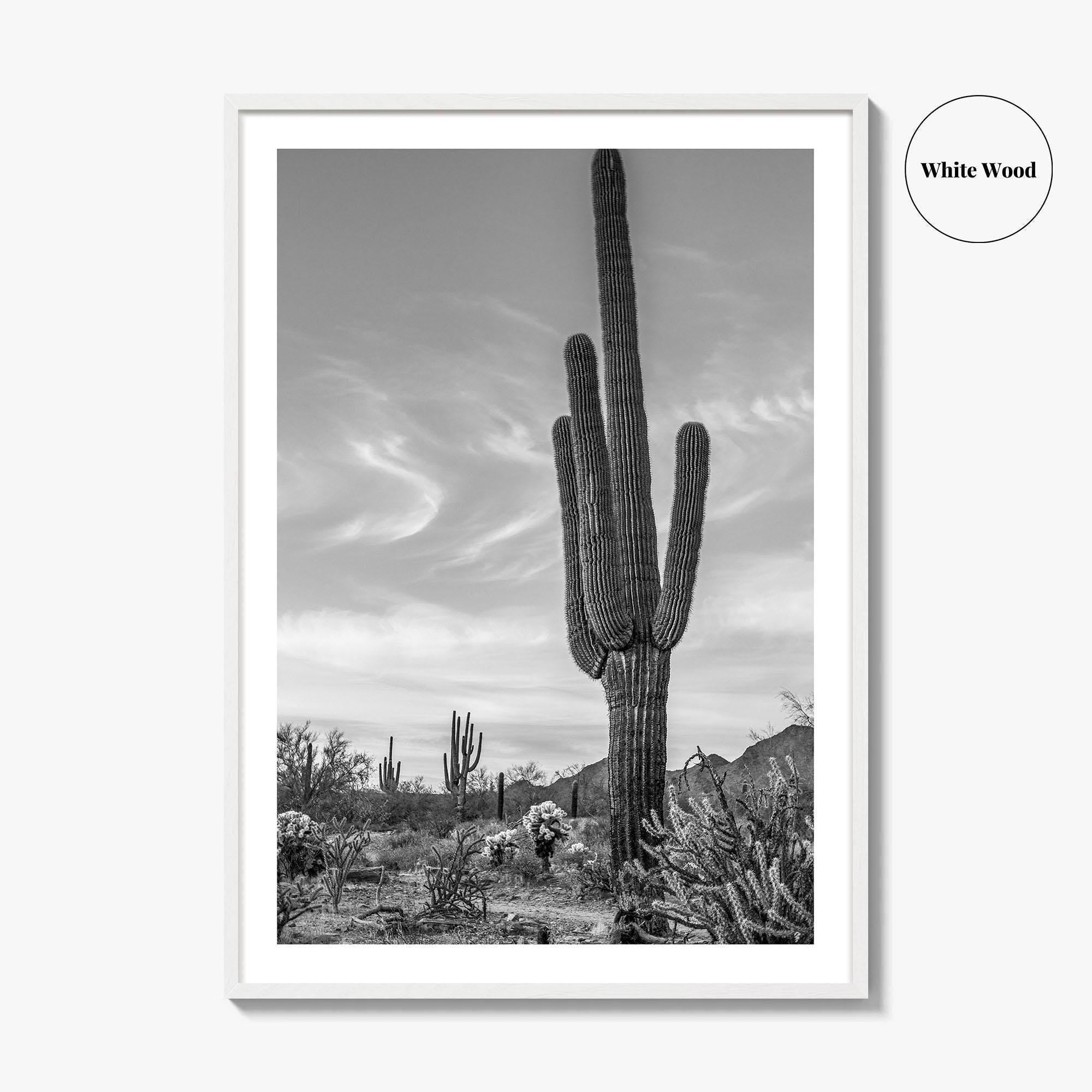 Arizona Black and White Fine Art Photo Print, Sonoran Desert Saguaro Cactus Tucson Poster