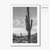 Arizona Black and White Fine Art Photo Print, Sonoran Desert Saguaro Cactus Tucson Poster