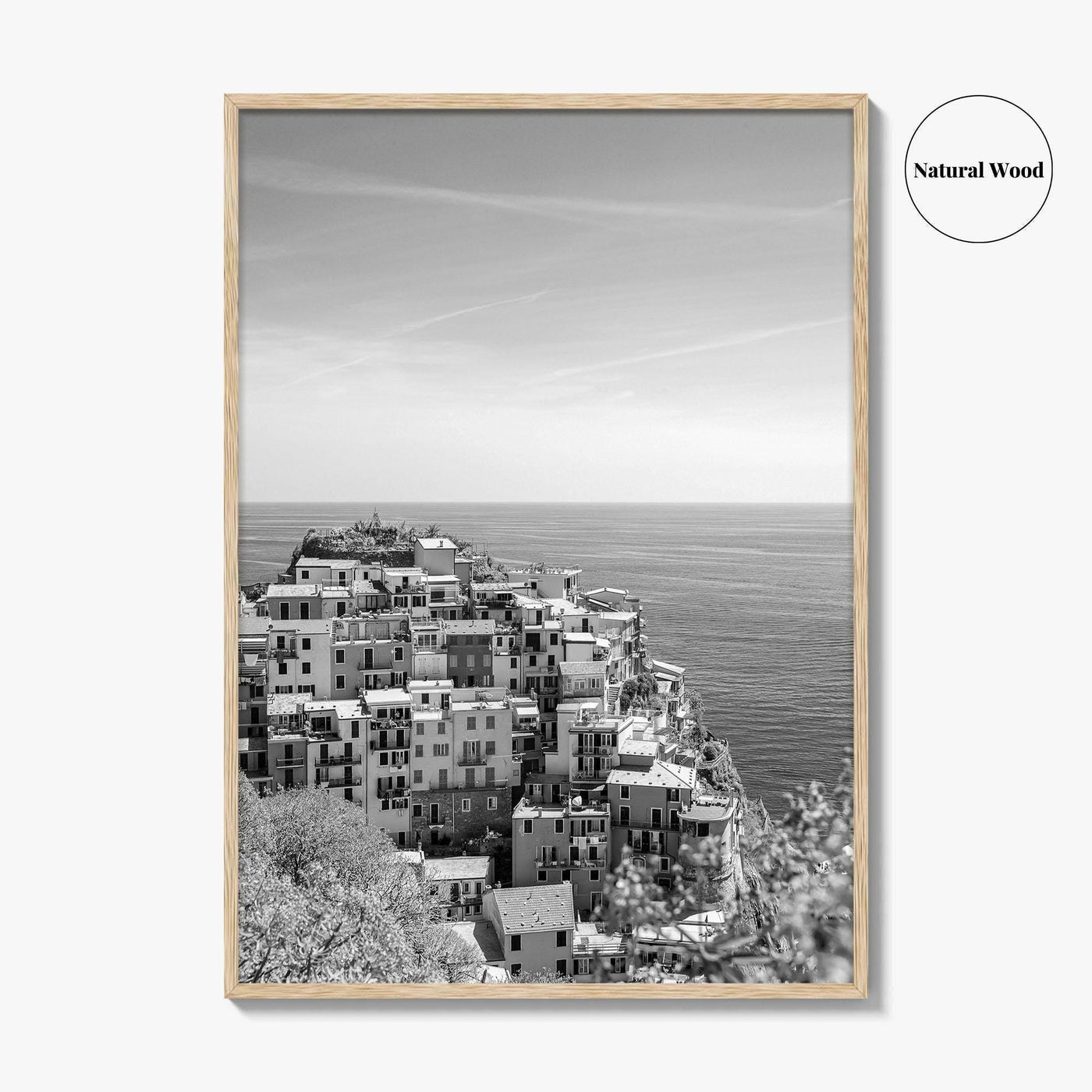 Cinque Terre Black and White Fine Art Photo Print, Manarola, Liguria Italy, Wall Poster