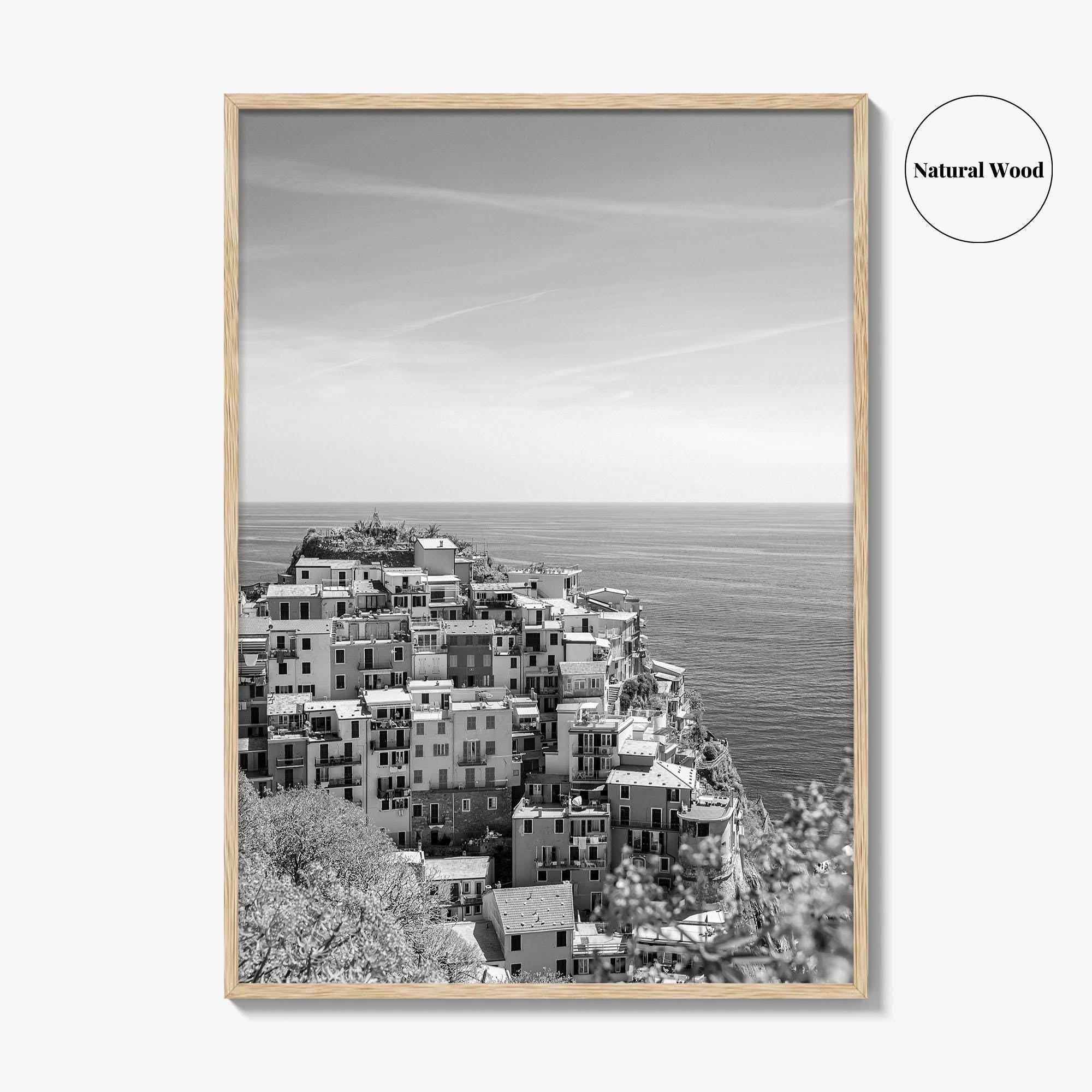 Cinque Terre Black and White Fine Art Photo Print, Manarola, Liguria Italy, Wall Poster