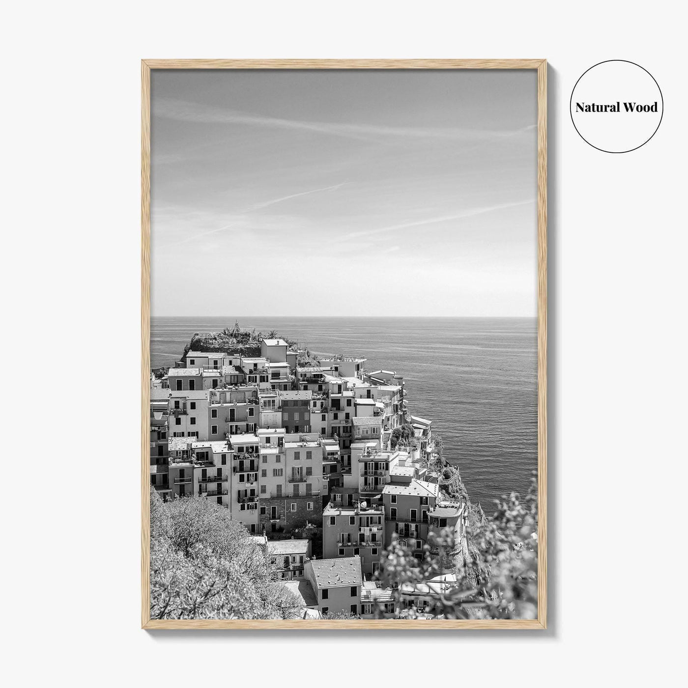 Cinque Terre Black and White Fine Art Photo Print, Manarola, Liguria Italy, Wall Poster