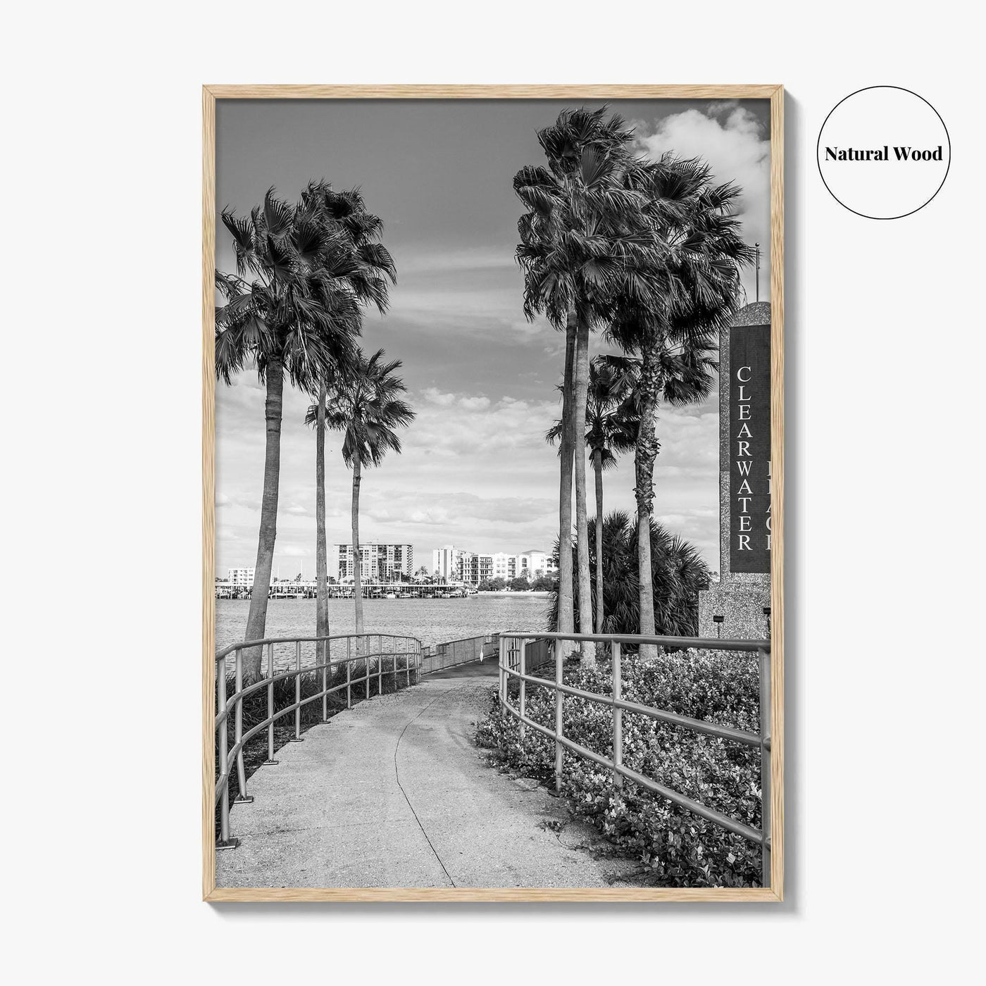 Clearwater Beach Black and White Fine Art Photo Print, Florida Palm Trees, USA Poster